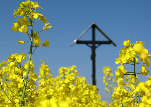 Niedziela Wniebowstąpienia Pańskiego – poświęcenie pól